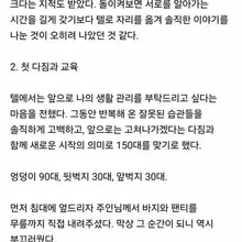 주인님이 생겼어요.