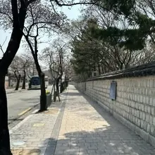 잠시나마 당신이 곁에 계셔서 올 해는 봄을 안타나 했습니다. 당신이 다녀가시고… 다시 같은 하늘 아래 같은 시간대에 없으시니 마음에 쓸쓸함이…