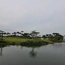 날씨가 흐려서 사진은 덜 이쁜데 볼치기는 최고. 역시 좋은 사람들과 라운딩은 즐거움이 배가되네요~😀😃😄 라운딩 ⛳️ 즐기실 부부커플님들 싱글남…