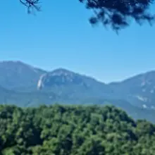 이번주 여행 마지막 날~ 속초 청대산 가벼운 산행 숙소 근처 양양 물치항에 차박하는 사람들이 많아서 우리도 해볼까 했더니만 애들 어릴 때 캠핑…