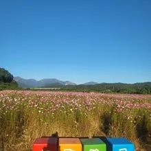 이번주 여행 마지막 날~ 속초 청대산 가벼운 산행 숙소 근처 양양 물치항에 차박하는 사람들이 많아서 우리도 해볼까 했더니만 애들 어릴 때 캠핑…