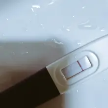 장양의 생리가 늦어져서 테스트했으나 임신이 아님.. 최근 일이 넘 많아서 늦어지는 거였네요. 어차피 언젠간 장양 자궁에 임신을 하겟지만 갑작스…