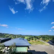 화창한 여름날 양양입니다. 먼길 오느라 장양은 낮잠을 주무시네요 ㅎㅎ 다들 더위 조심하세요.