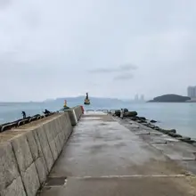 3박4일 부산여행의 마무리~ 먹고싶은거 다먹고 ㅋㅋ 신나게 놀다갑니다~~~ 마지막날 아침은 복매운탕~^^ #부산 #부산여행 #해운대 #현실복귀