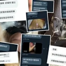 现在的爱好是给来私信的弟弟们发美腿和裸脚，然后让他们发对着我腿脚射出来的感想，如果配上精液图就更好了，背景就是两个弟弟没忍住直接射裤裆里了哈哈，目前已收获十几…