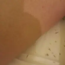 이직준비중이신 고객님 잠깐 쉬어가는김에 때밀기..등을 밀고, 반대로 돌 때 자기 때 보고 흠짓 놀라기 없기 ㅋㅋ 샴푸할때 뿌리볼륨펌 하신 줄…