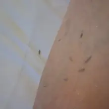 세신 누군가에겐 추억놀이 레트로감성 세신 누군가에겐 필수 소비재 혼자 때밀었다고 하시는데 생각보다 때가 많이 나오셨어요 혼자 때미는게 생각보다…