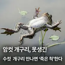 국민학교 3학년 새학기 땐가.. 선생님이 남자 애들만 나오라고 해서 짝꿍하고 싶은 여자애 옆에 선착순으로 앉으라 했거든.. 다들 쭈뼛쭈뼛하게…