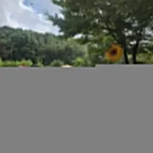 7일 일요일오후 2시이후 서울.경기 시간되시는 ㅂㅂ.ㅋㅍ님들 연락주세요~ 맛난음식과 시원한 쏘맥한잔!!