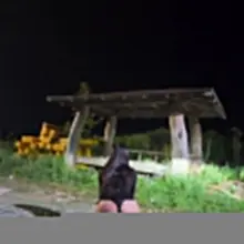 입꼬버꼬 드라이브중 어느 쉼터 여기서 보빨해 줄사람?? 😚😚😚😚😚😚😚😚