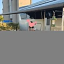 10월첫째주 저희의 첫캠핑카가지고 첫캠핑을 하고 왔습니다. 부커님들 그리고 지인들 같이해서 오전에는 쭈갑낚시하고 저녁에는 이날 잡은 쭈꾸미로…