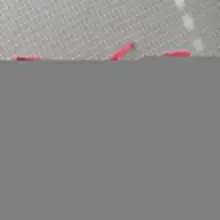 이팬티 누구꺼지. 쇼파위에 있노
