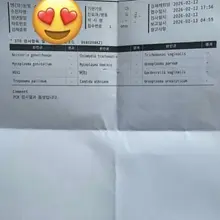 주기적 검사