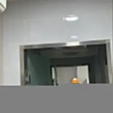바디체크