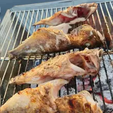 5월 그녀의 방문. 낚시 그리고 만족스런 섹스...