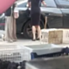 발 궁금해 하시는 분들이 있어서 주말이 가기전에... #다리 #각선미 #맨발 #여자발