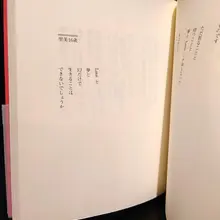 『愛なんて知らない』。「きれいな詩は書けないヨ/自分がきたなくよごれきっているから…」少女は、ビートルズの曲を聴きながらガス栓をひねり自殺しました。「自殺でき…