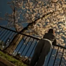 深夜の健全お花見☺