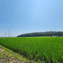 今日も暑いね～🐵💦 今年の夏も地方遠征で忙しい
