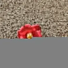 -쁘니 꿈에 모모가 나를 두고 고속도로 언덕으로 가버렸다. 그리고 다시 차를 돌려 태우러왔다. 내 존재를 까먹은게 서러워서 엉엉 울었는데 우는…