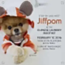 用心生活，努力微笑，拥抱每一个当下。将生活的苦涩酿成甜蜜，让日子过得丰富多彩。愿你的生活充满希望、动力与甜美。