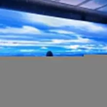 我想出去玩我想出去玩我想出去玩