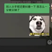 Photo posted by 烤冷面灵气 (@Kaolm17)