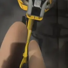 骑着共享单车偶遇去🤪🤪 #厦门