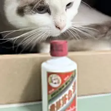 妙妙喝茅茅