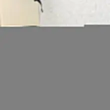 人感重