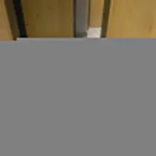 收集对母狗的评论