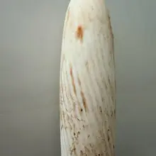 刚录完定制音频，拔出来吗的红的，吓了一跳。回卫生间清理突然发现下午去厕所的一团纸也是红的，人麻了，下午就例假了，我没发现…关键是录音频之前我还摸了摸bb，嗯……