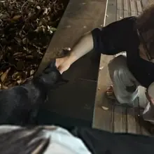 小黑🐱