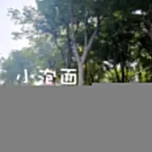 主人说母狗可以随地大小便💩
