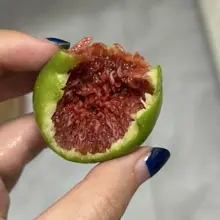 哇塞这次买的无花果好好吃啊，终于也让我遇到屁股流蜜的无花果了😋有蜜的果然很甜很有味😋