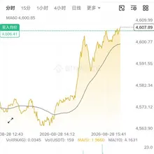 各位老师 这个怎么看啊 第一次玩不太懂 #币安