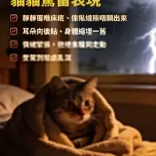 ⛈️ Thunder and lightning make most cats and dogs anxious. Besides making the sp…