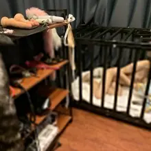 #母畜 #bdsm #尿壶 #厕奴