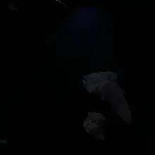 拔拉一下奶子就掉出来了，电影院摸奶，台风下雨天车震氛围不要太好。#约啪话术教学 #约炮 #车震