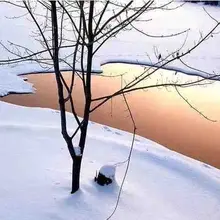 雪后的呼伦贝尔，美到心颤！
