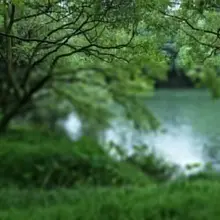 西湖的这季雨 从南宋下到了现在。