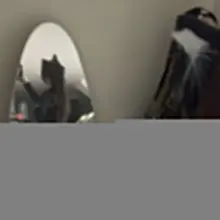 今晚穿这个跟男人睡觉