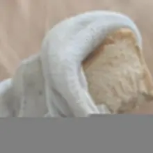 发货后都会给单号的，注意查收哦，信誉保证的，不买可以，但是闭嘴🤐原味 #原味丝袜 #原味商品 #内内 #恋物 #恋物癖 #足控 #胖次 #内裤 #丝袜脚 #面…
