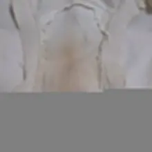两个内裤穿破了都舍不得换的烂逼