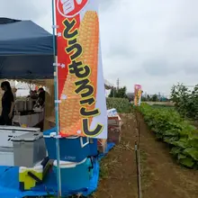とうもろこし🌽狩り娘夫婦がお家を買った不動産屋さん主権一人5本までOK☺誘ってくれたので 無料で行ってきました✨ おまけに、焼きもろこしと蒸したとうもろこし食…