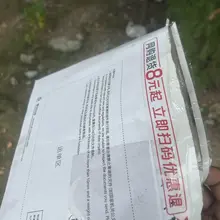 路边树上😂