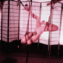 じょうげんのつき🏹🌙 📷：@se_re87020 🪢：@xiaoming_rope 🏠：@blingbubujiang #shibari #緊縛