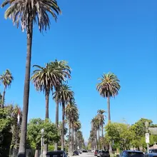 will spend my life wishing I still lived in LA🥹