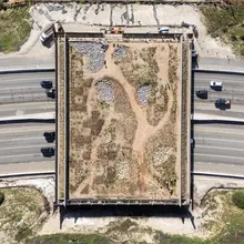 California is building a giant green bridge so wild animals can cross one of it…