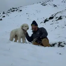A dog that went missing after an avalanche in Alaska was found alive more than…